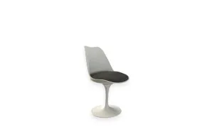 Tulip Chair (Expo Offer) Alivar - 7