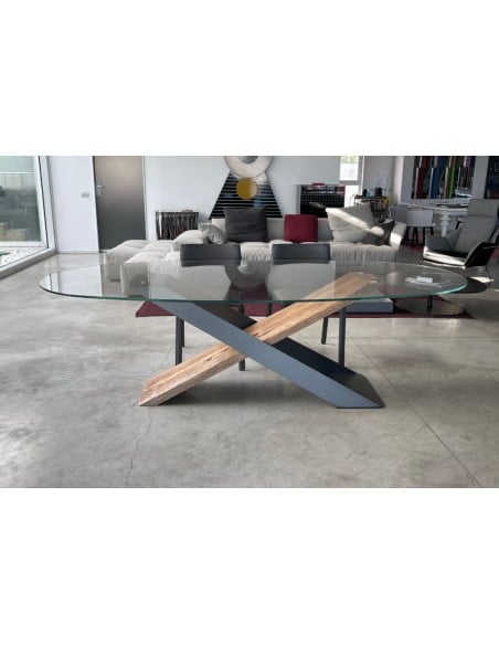 X Table (Expo Offer)