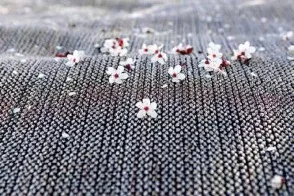 Paglietta Carpet