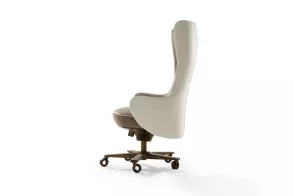 Genius Armchair 2