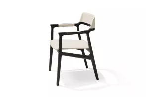 Alexa Chair