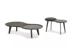 Imago Coffee Table