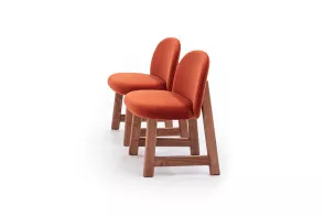Pheaby Chair 2