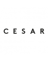 Cesar